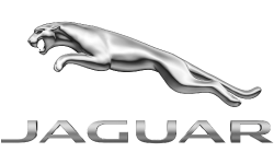 013_Jaguar